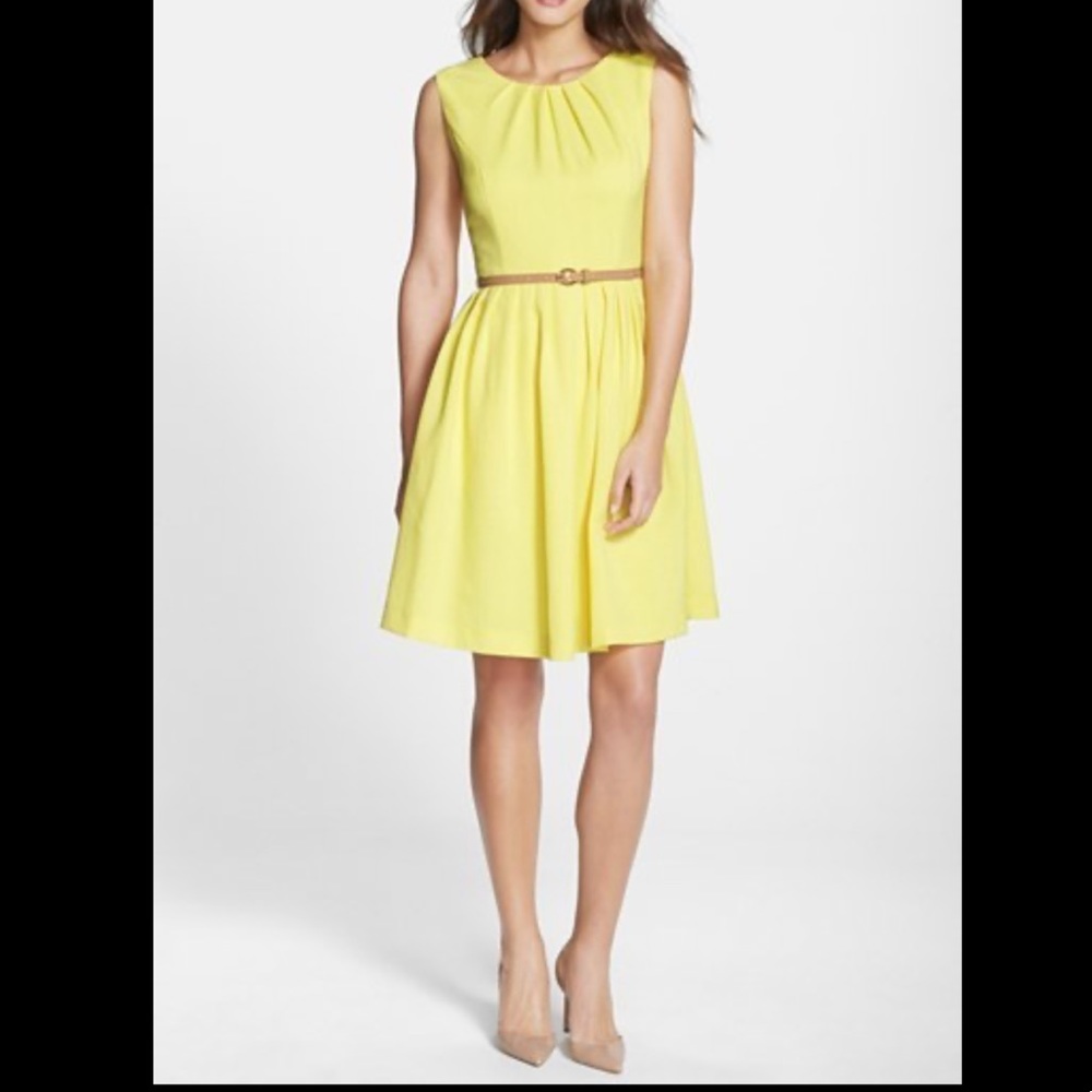 ELLEN TRACY Kenya Fit and Flare Belted Dress Sz 8